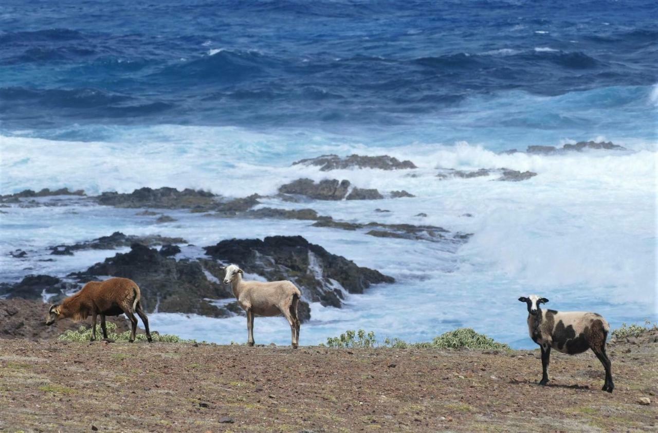 <Casa Colibri> La Desirade Daire Les Galets Dış mekan fotoğraf